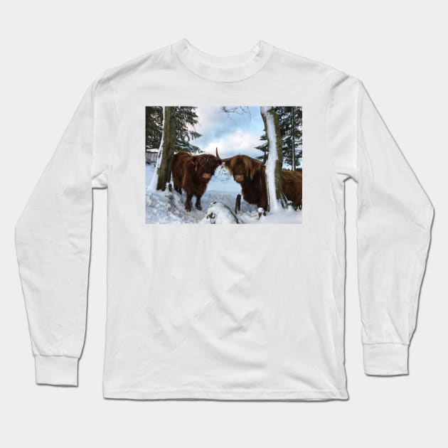 Scottish Highland Cattle Cow and Calf 1619 Long Sleeve T-Shirt by SaarelaHighland